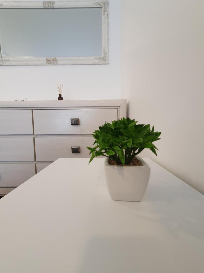 Talsa 1-Bedroom Apartment In City Center Siauliai Екстер'єр фото